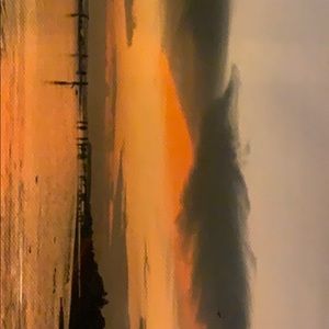 Meet your Posher, Leia